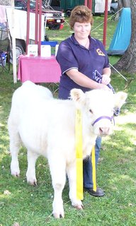 Fiona - 3rd in Heifer Calf Class